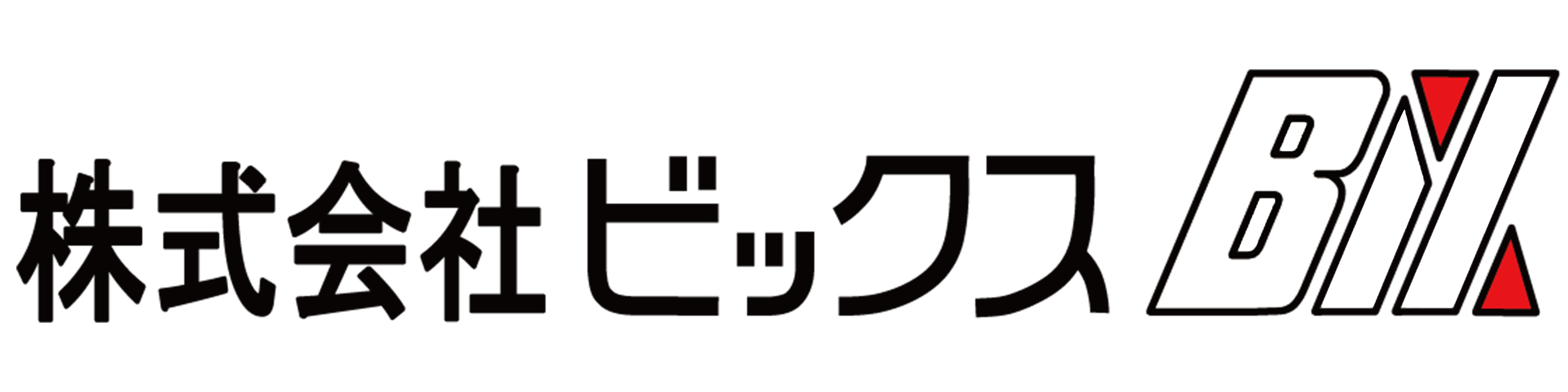 株式会社ビックス